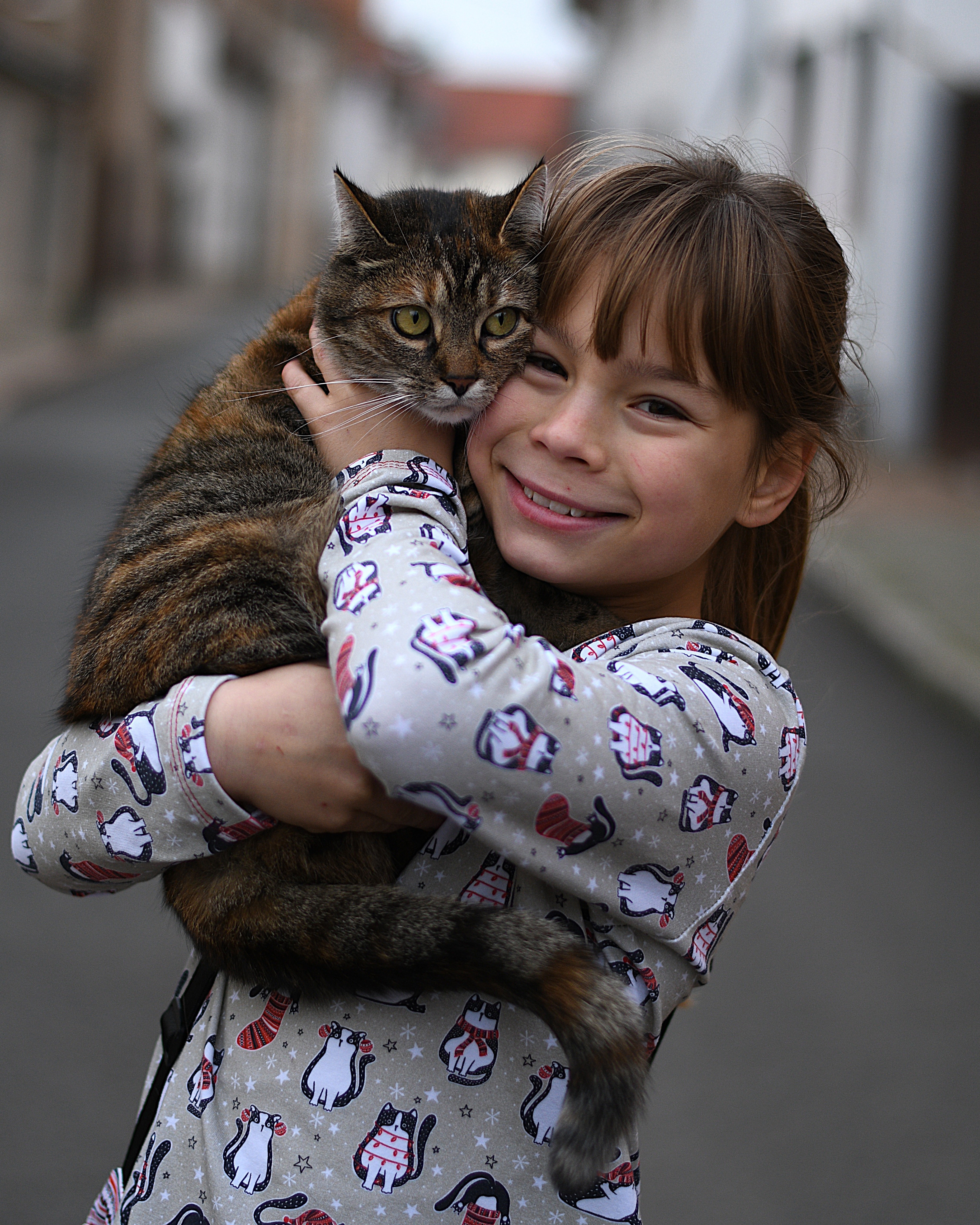 Bio Fabric - Cat Christmas Meow Multidirectional black, red