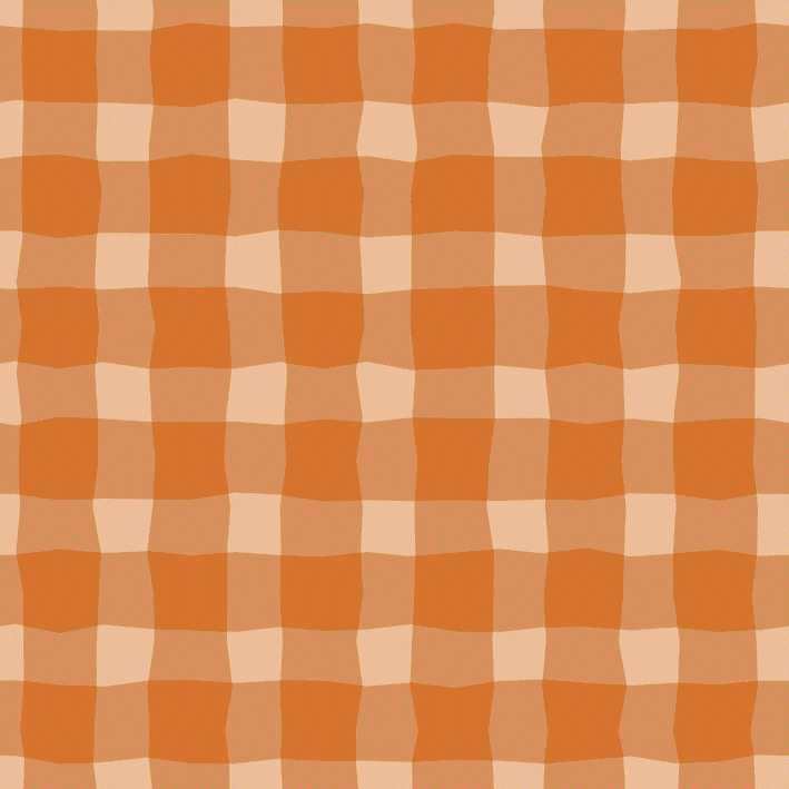 Bio Stoff - Zigzagkaros Orange von Deinki in orange