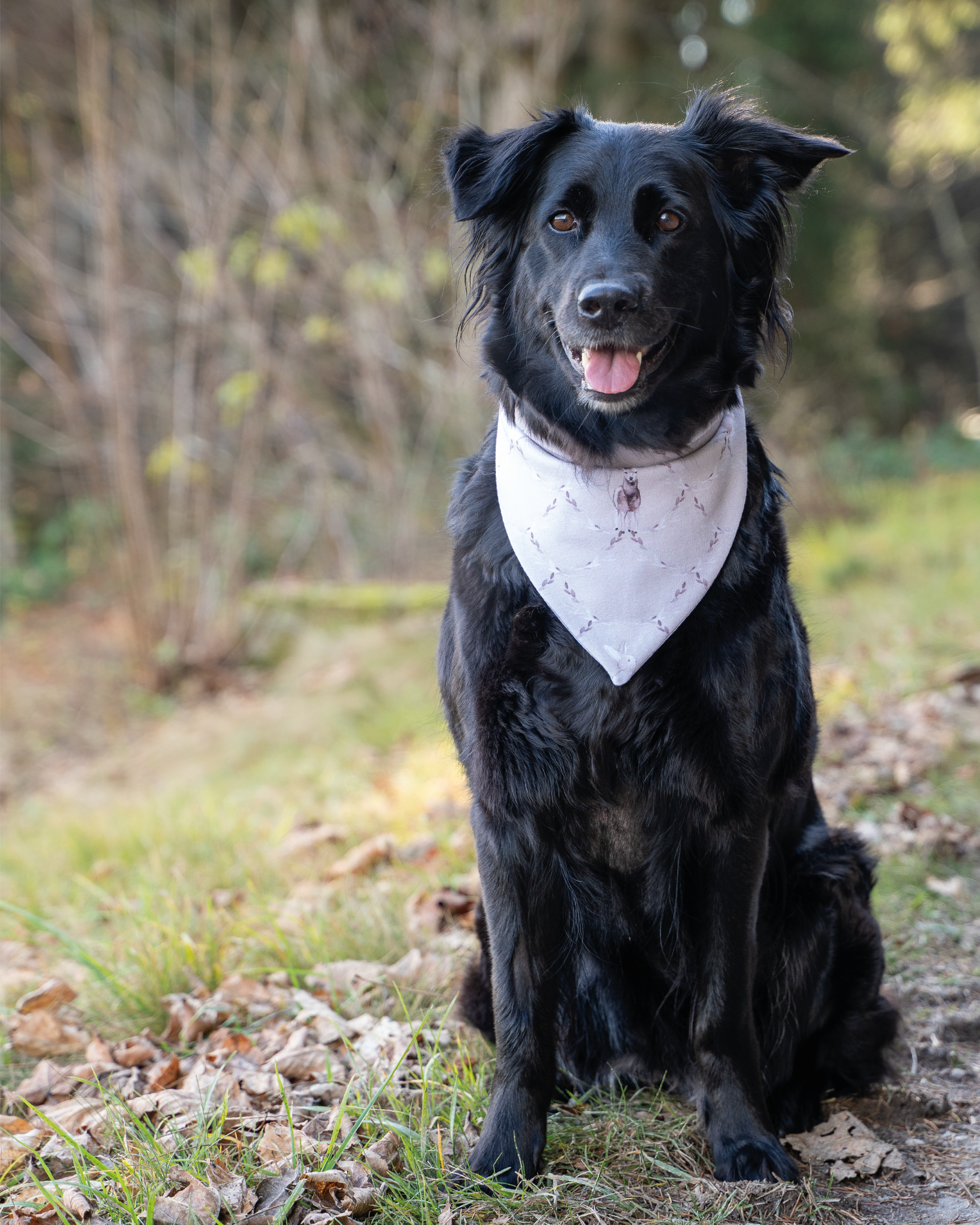 Organic Fabric - Forest Magic Combo beige