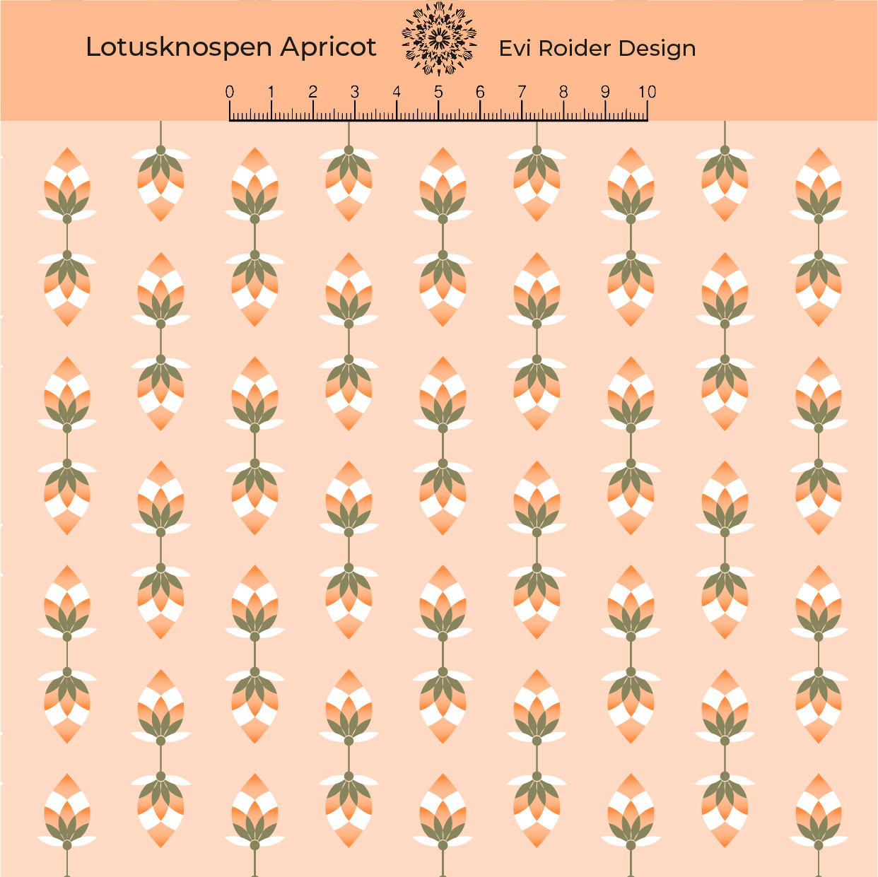 Lotusknospen Apricot