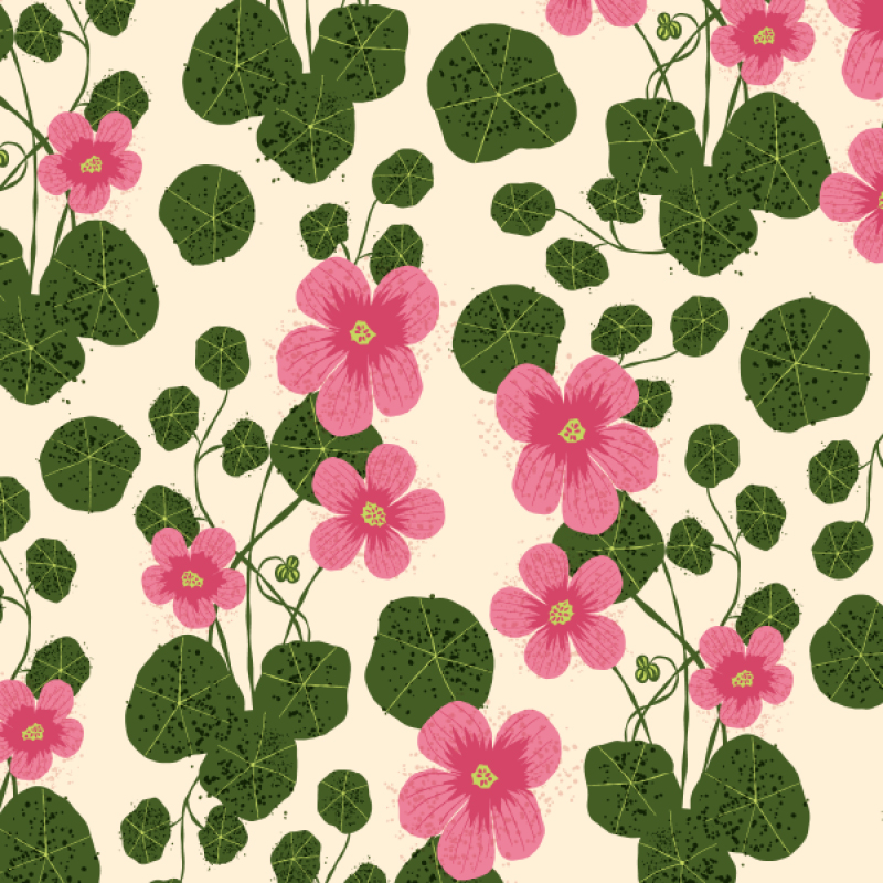 Bio-Stoff - Kapuzinerkresse