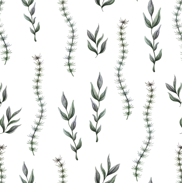 Organic Fabric - Nordic Breeze Seetang