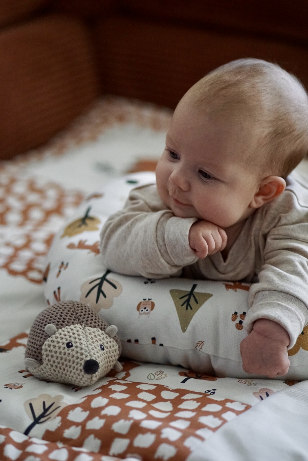 Bio Webware Stoff  -  Waldfreunde  - KathrinWoo, Wald, Tiere, beige, 100% Bio-Baumwolle