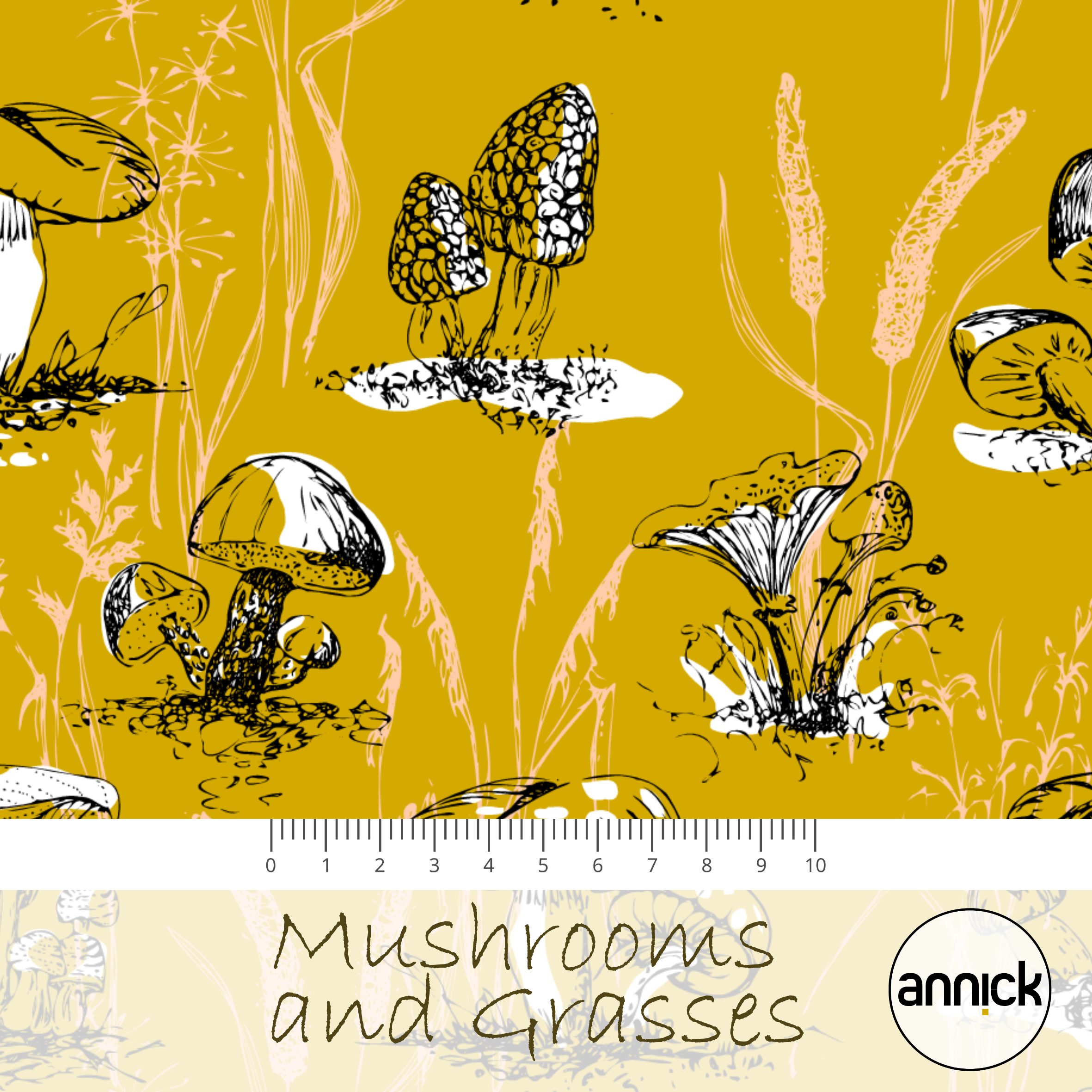 Mushrooms and Grasses Mushrooms and Grasses