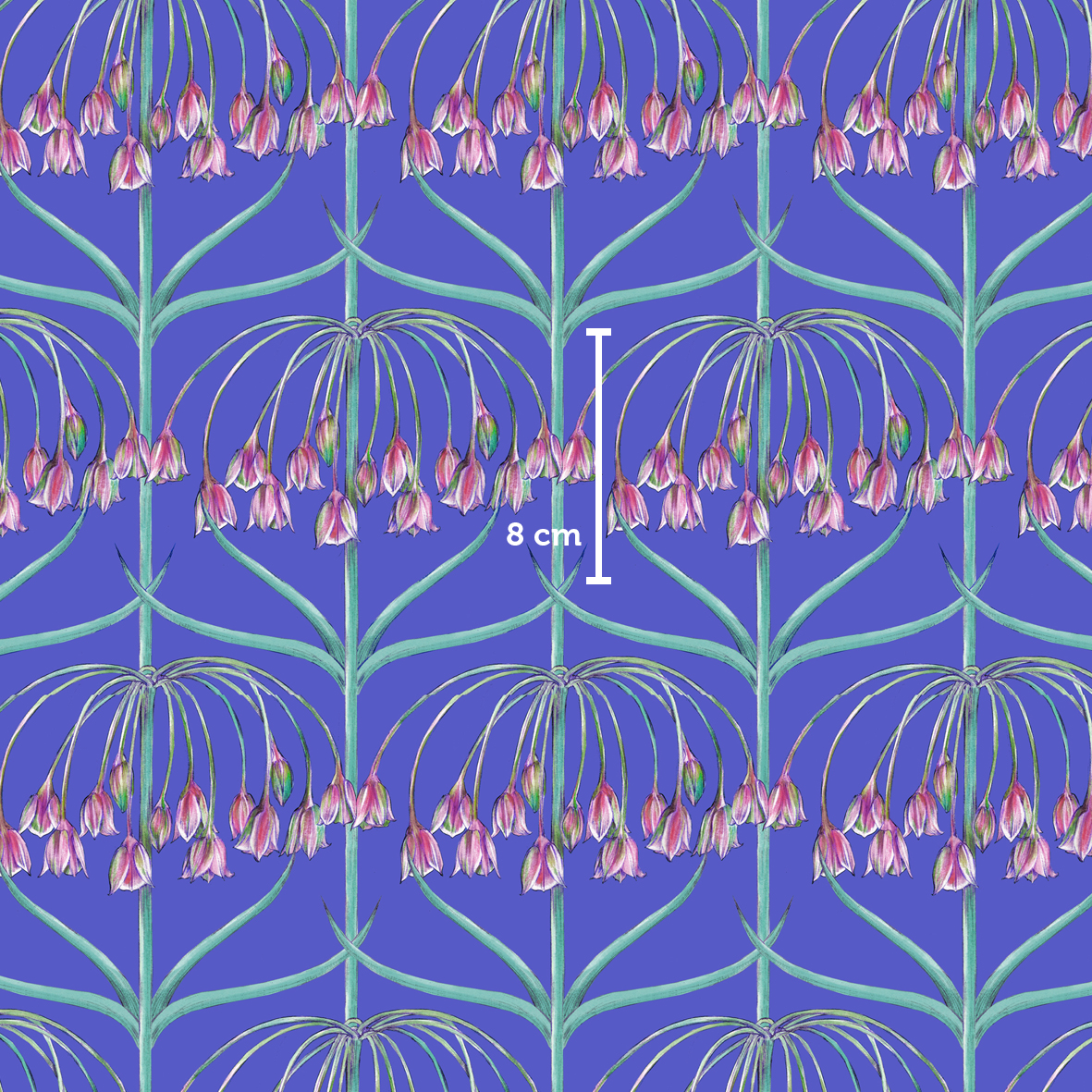 Morgentau, very peri blau, Webware Morgentau, very peri blau, Webware