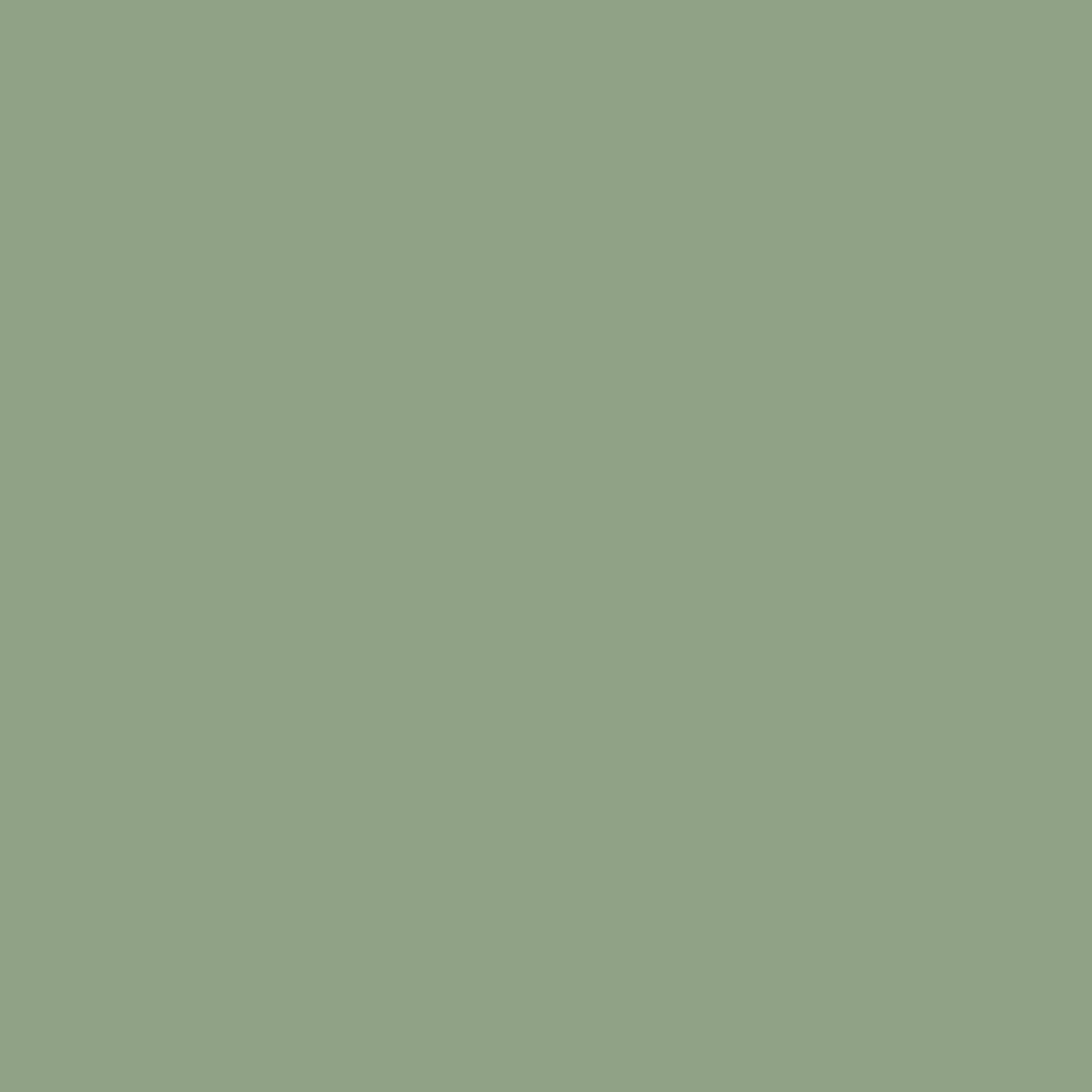 Organic fabric  -  Unicolor graugrün
