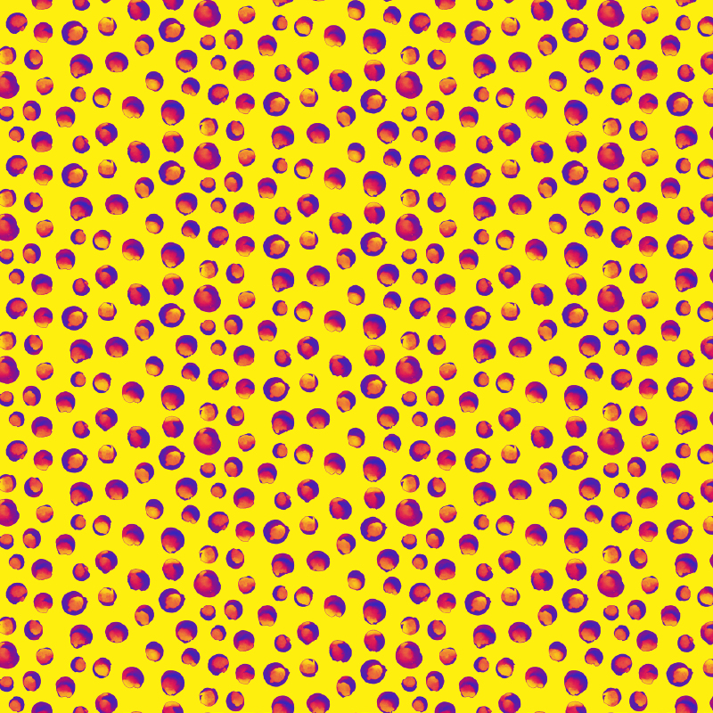 Organic Fabric  - Crazy Dots yellow