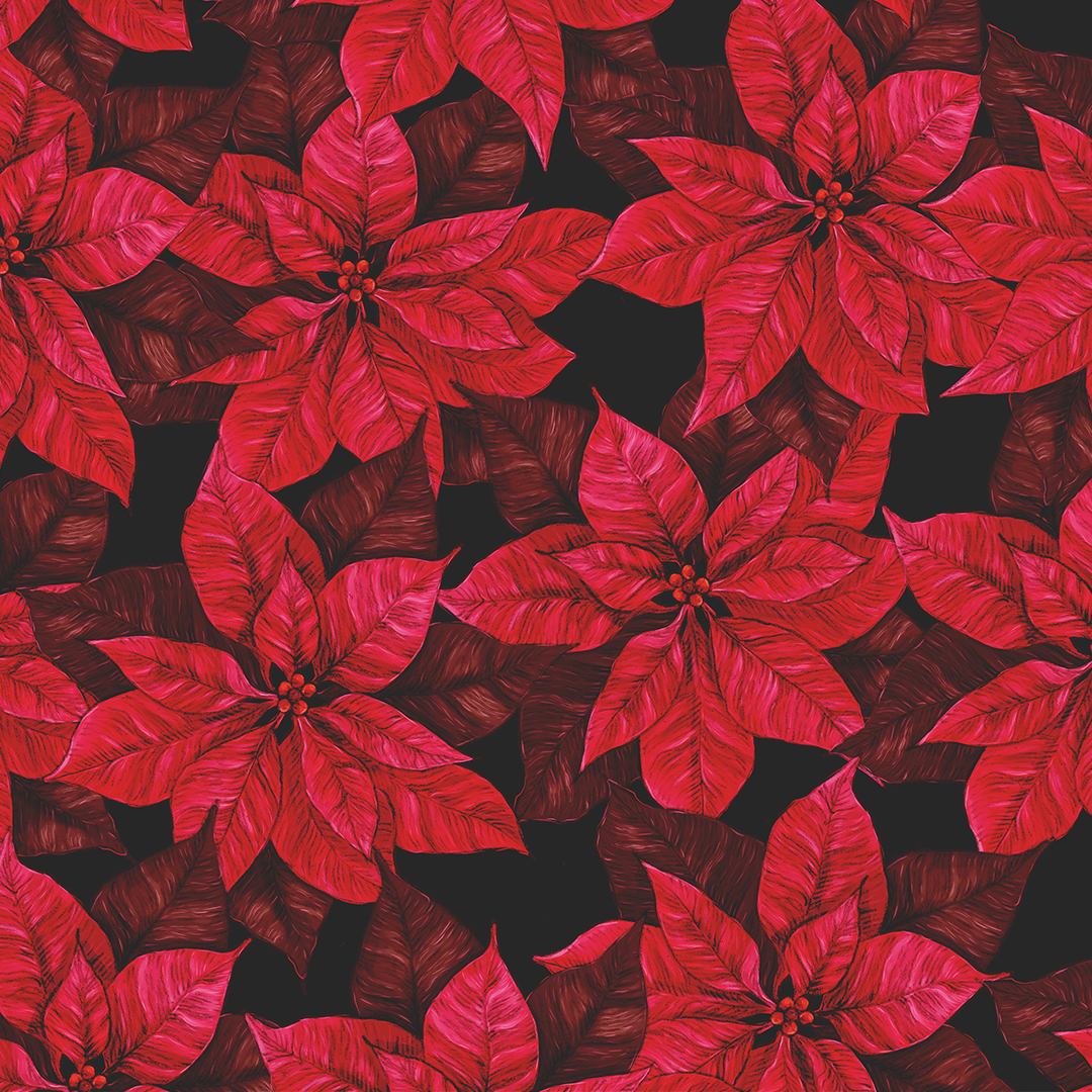 Weihnachtsstern Rot Mini