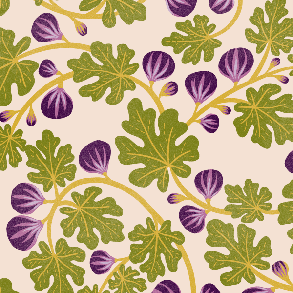 Organic fabric - Golden Fig creme