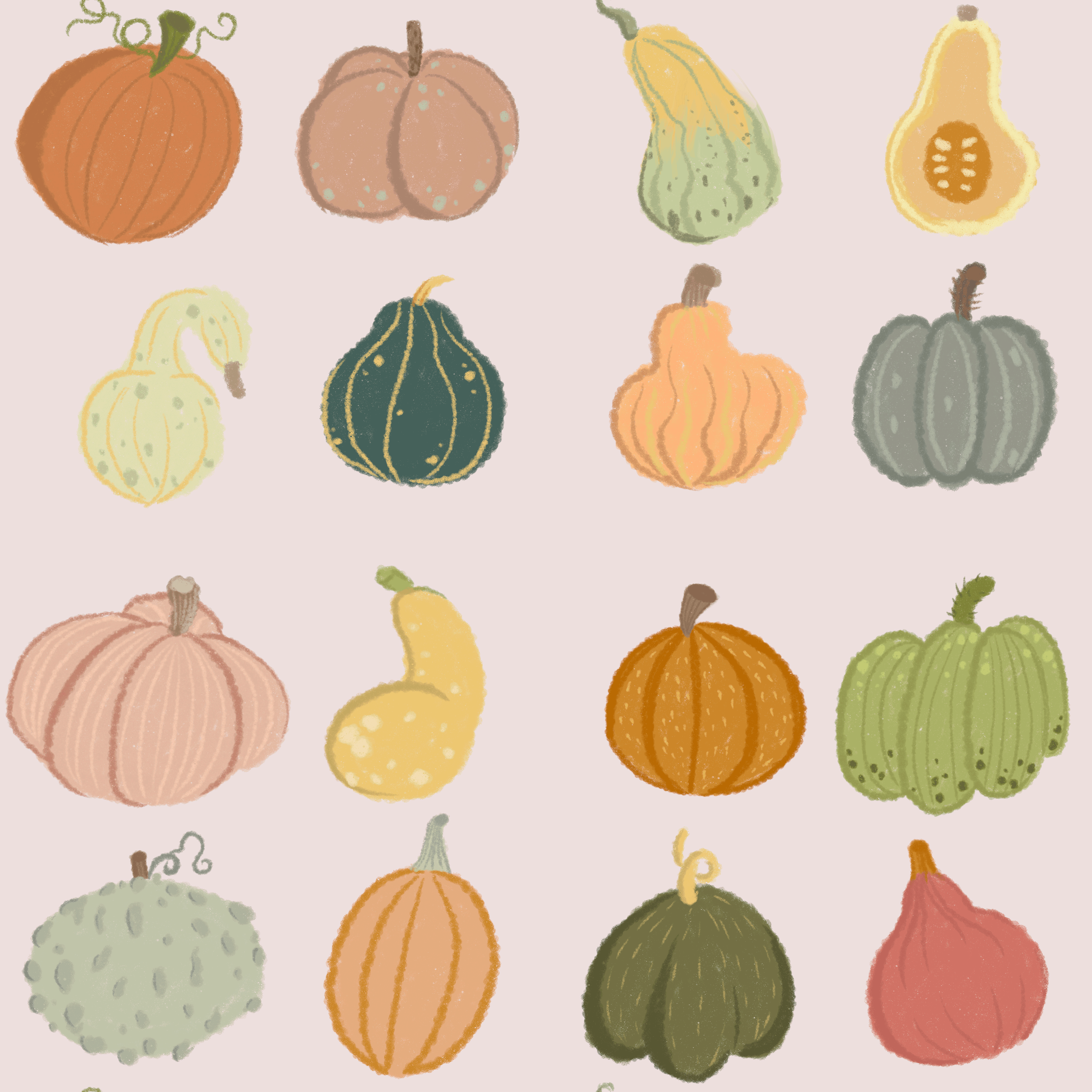 Bio Stoff - Pumpkin Spice Hellrosa Gross von Benito Und Maus Illustrations in rosa