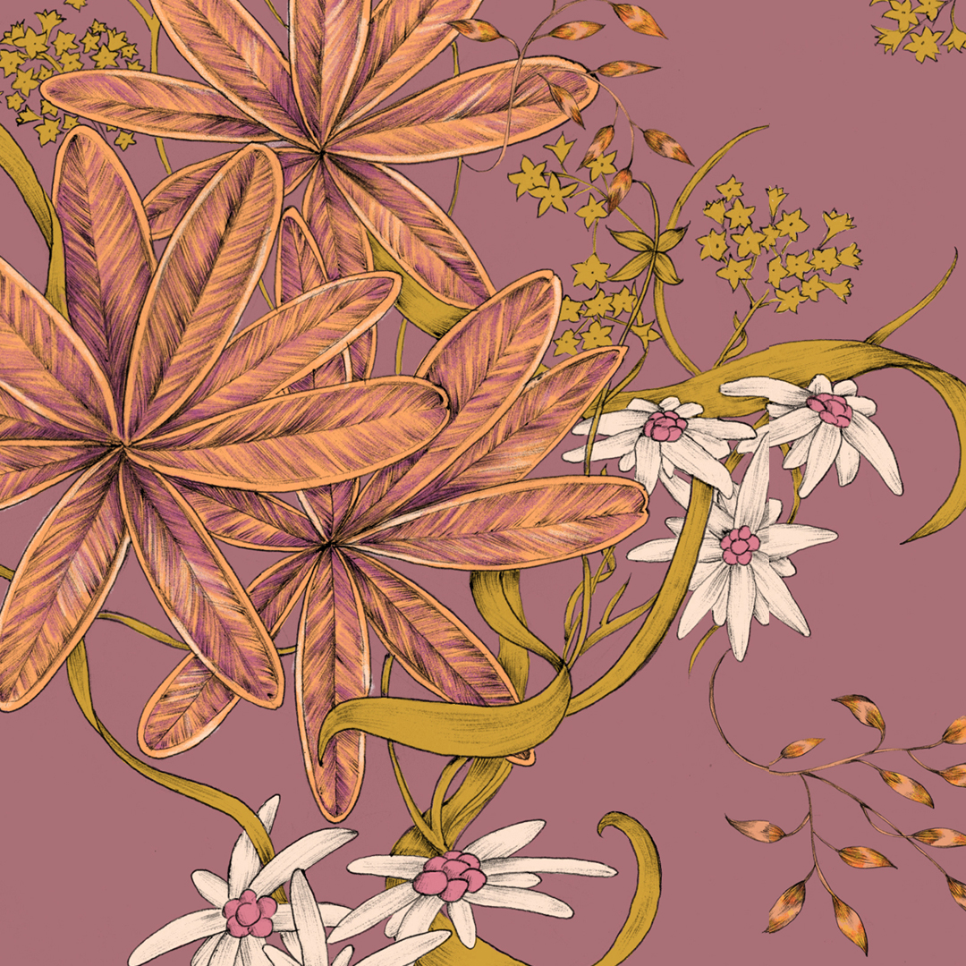 Alpenblume Dunkelrosa, Webware Alpenblume Dunkelrosa, Webware
