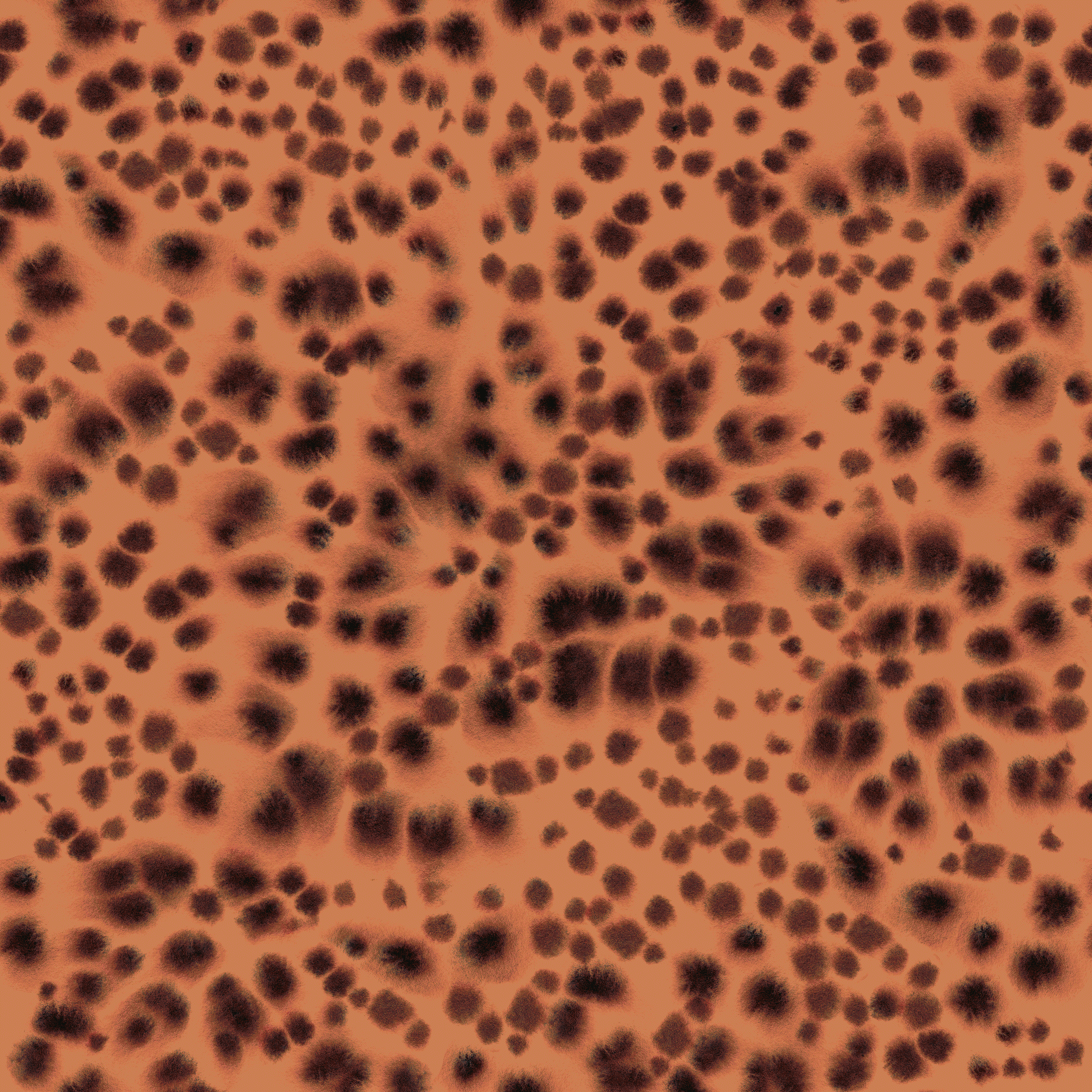 Bio Stoff - Abstract Leo Brandied Melon X L von Kristin Tessen in orange