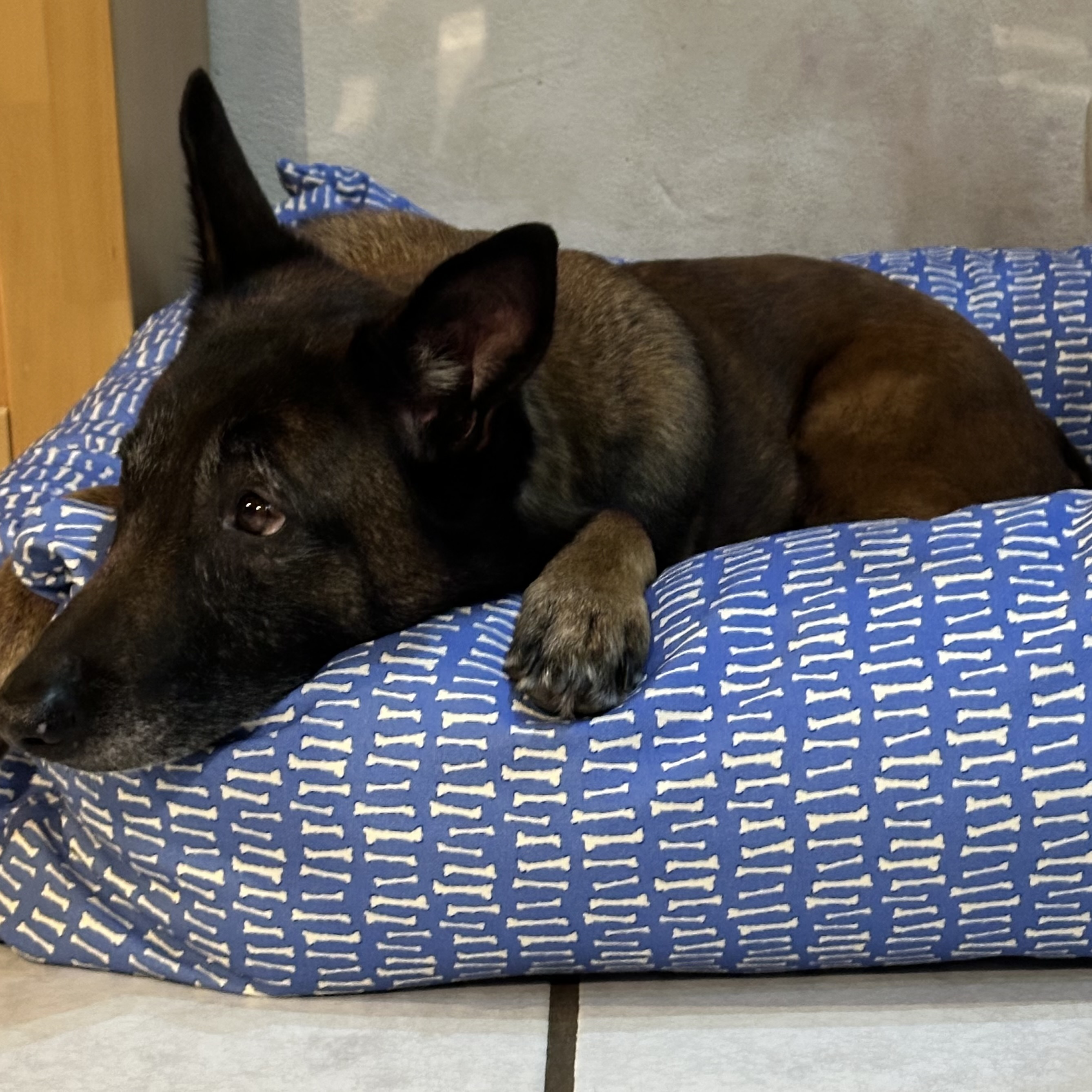 Bio Stoff  - Stone Age Bone Yard