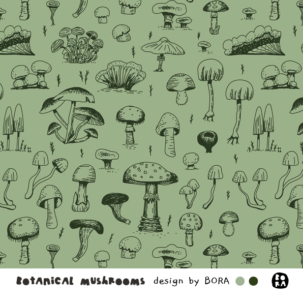 Botanical Mushrooms Botanical Mushrooms