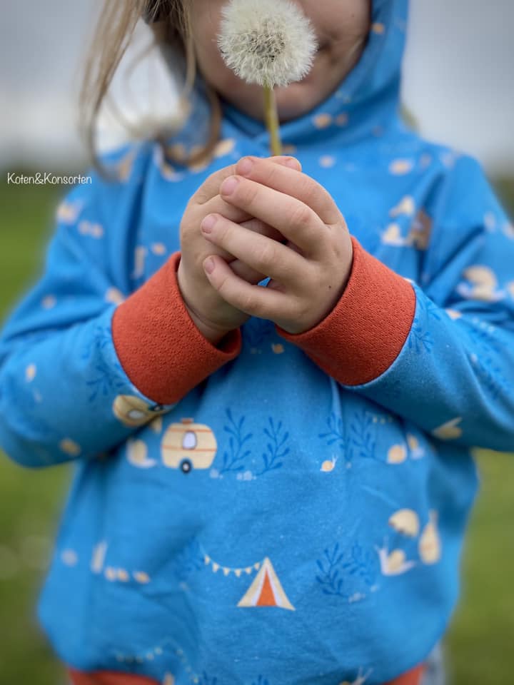 Bio Webware Stoff  -  Camper Schnecke  - LisaSanders, Tiere, blau, Fahrzeuge, Wald, 100% Bio-Baumwolle