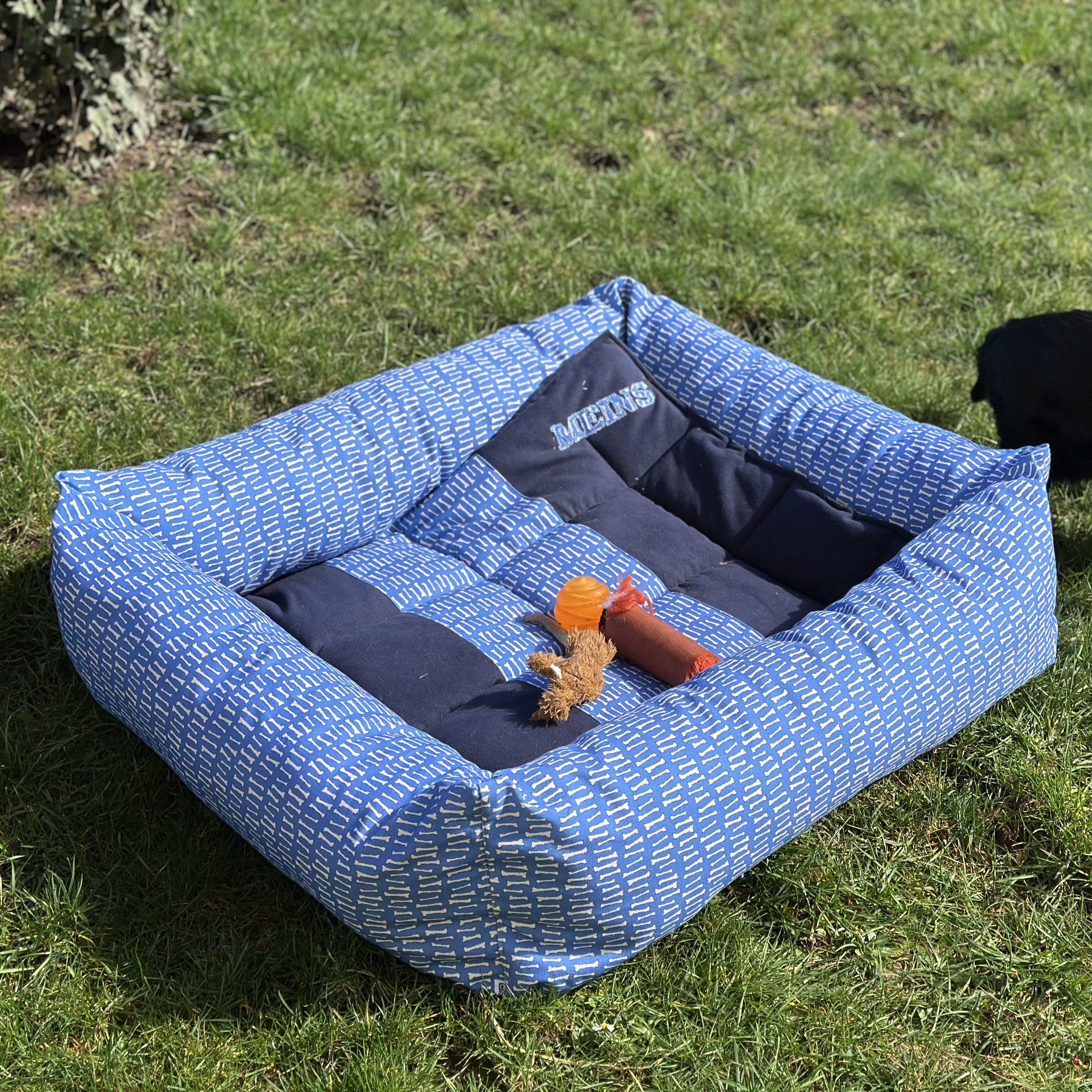 Bio Stoff  - Stone Age Bone Yard