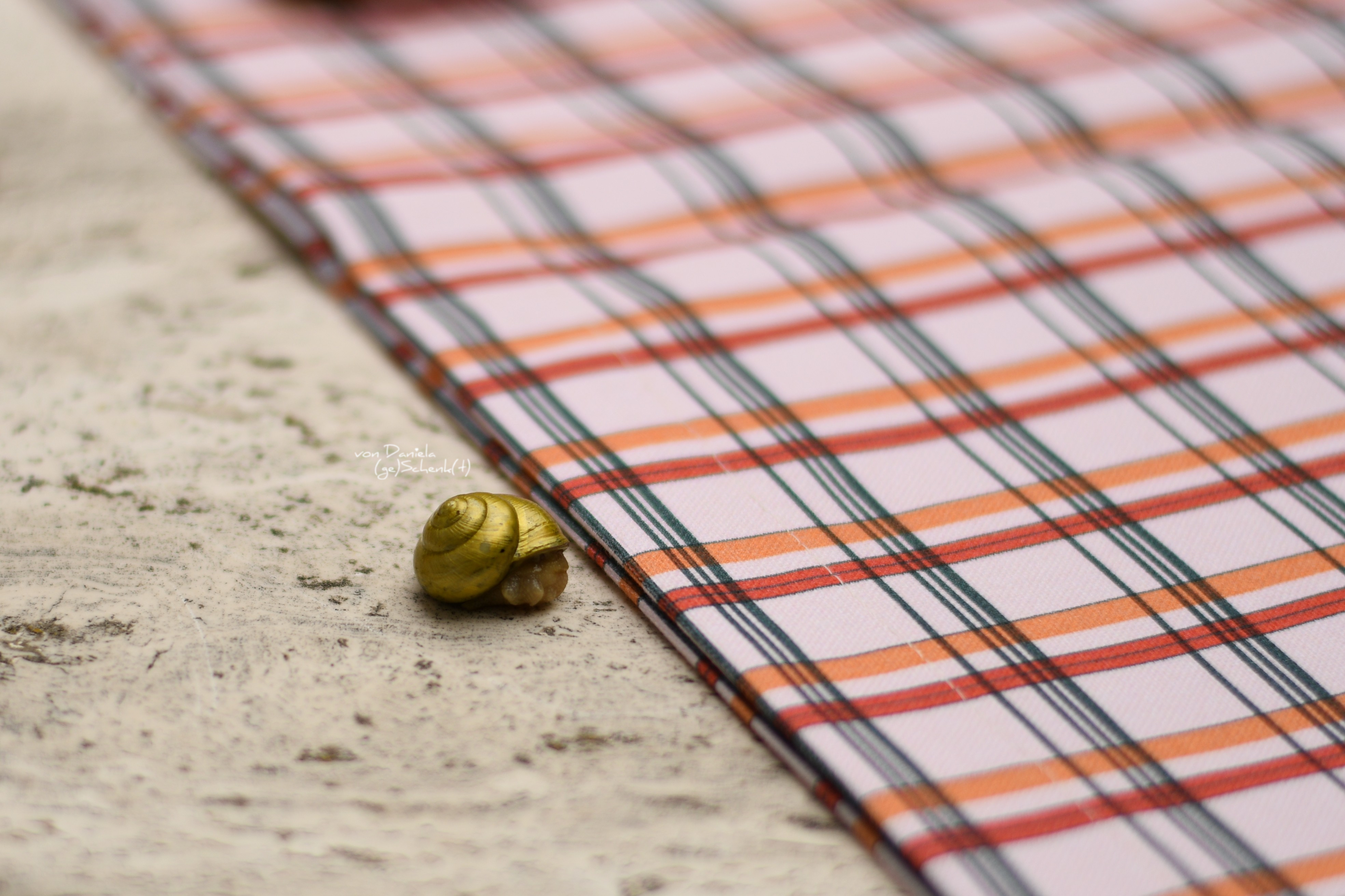 Bio Stoff - Cottage Plaid Bright Red von Alexandra Weise in rot