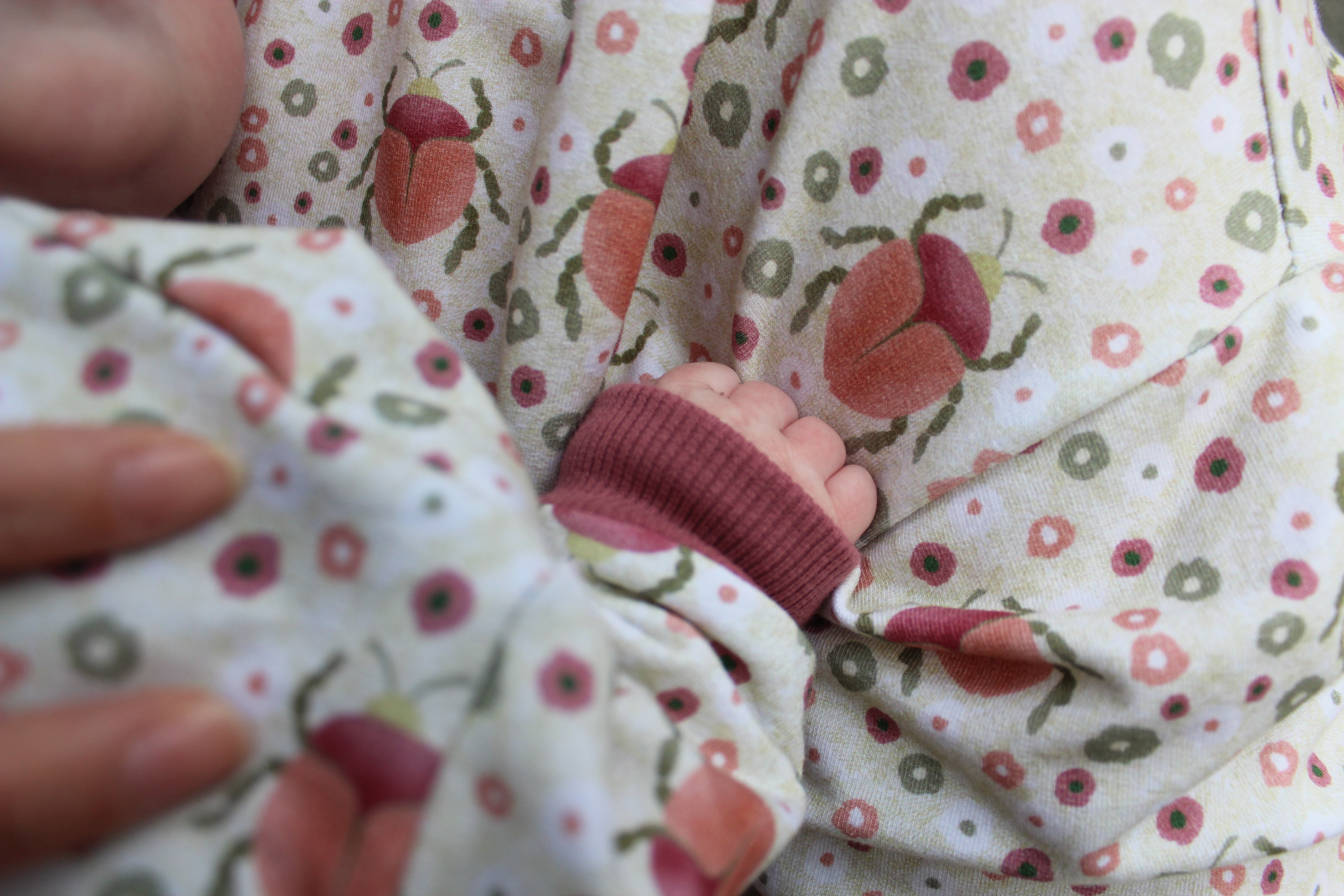 Bio Stoff  - Käfer im Blumenfeld grün