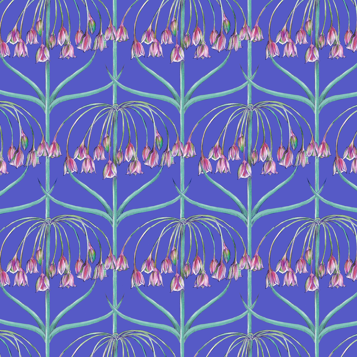 Morgentau, very peri blau, Webware Morgentau, very peri blau, Webware