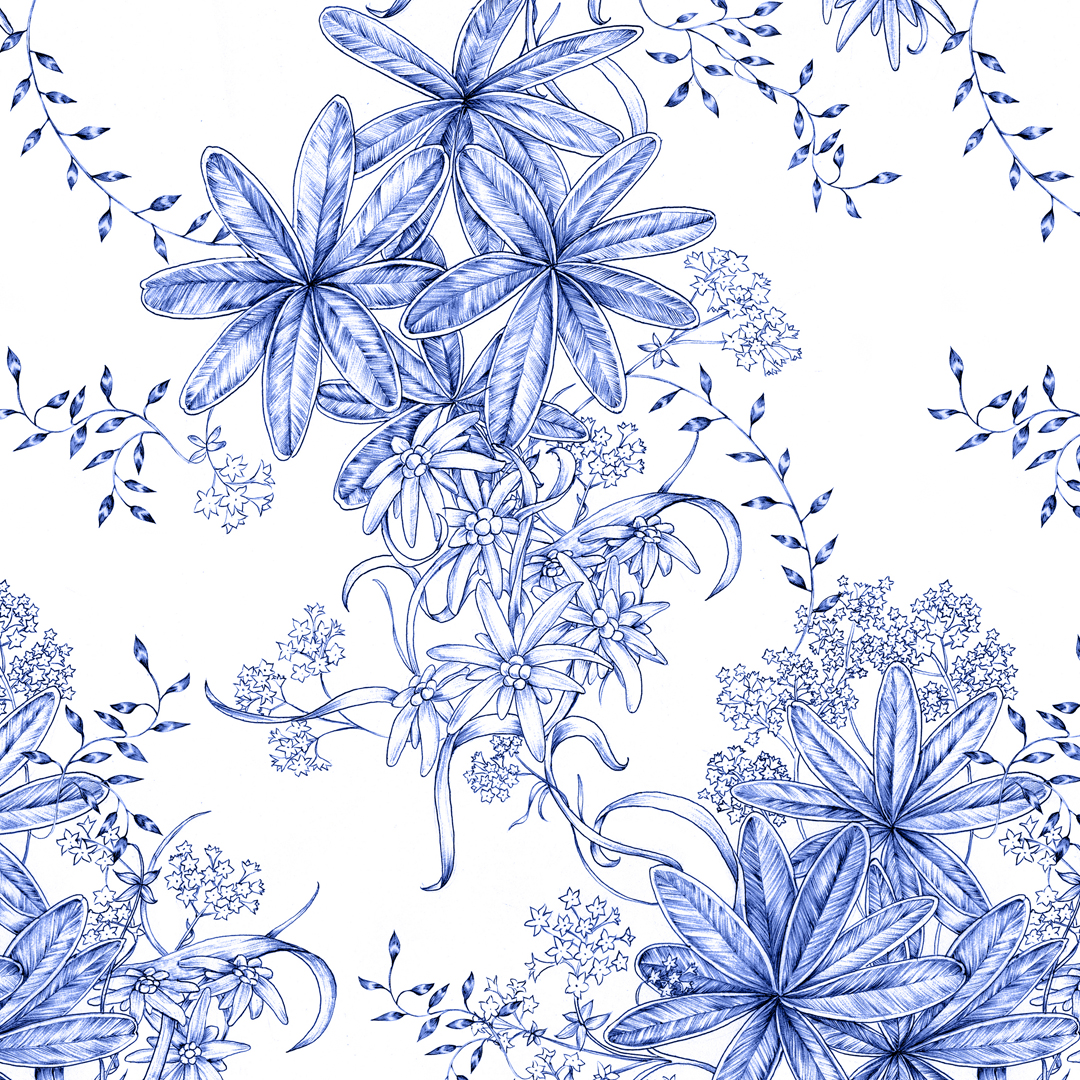 Alpenblume Kuli,Webware Alpenblume Kuli,Webware