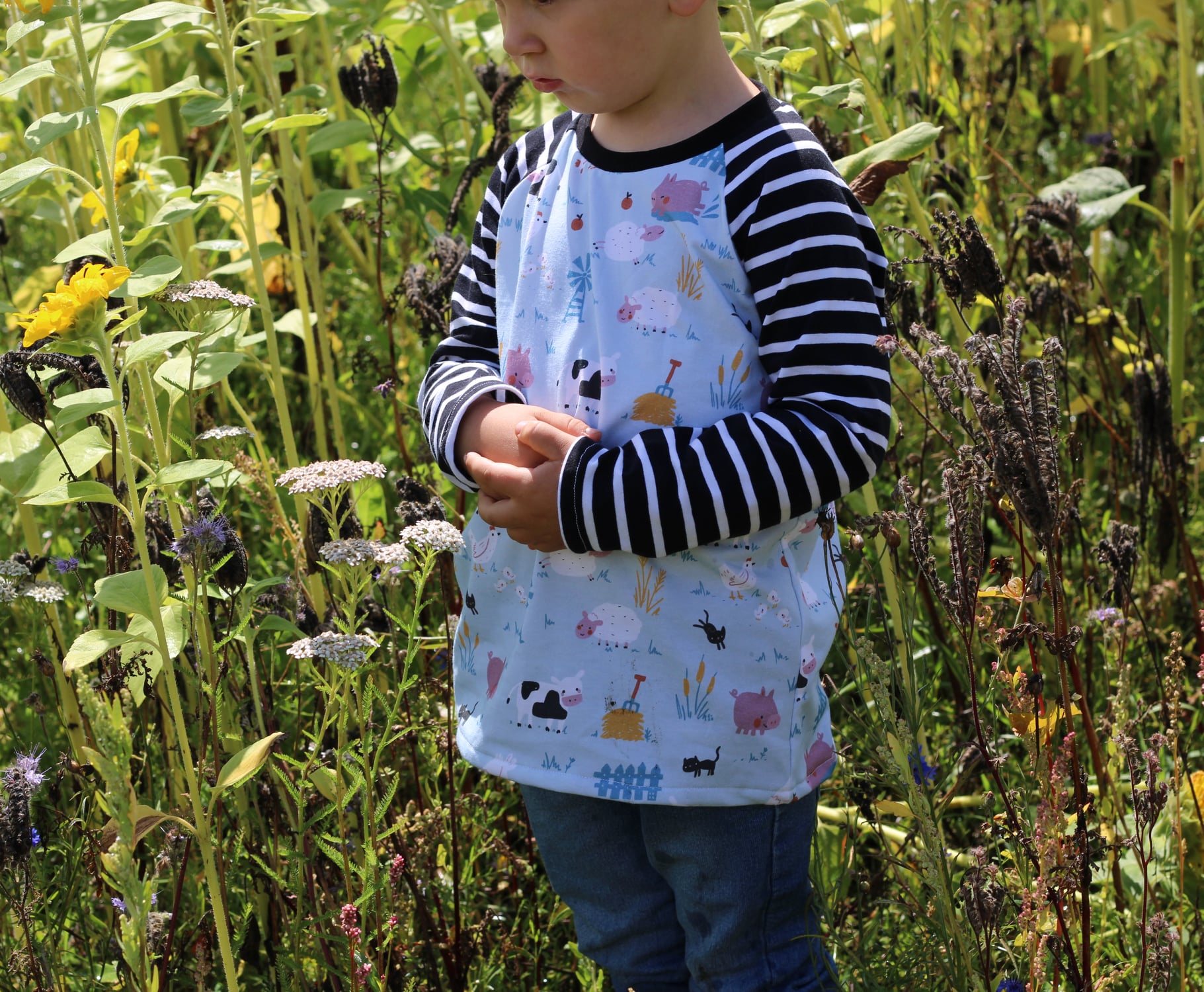 Organic fabric - On the Farm