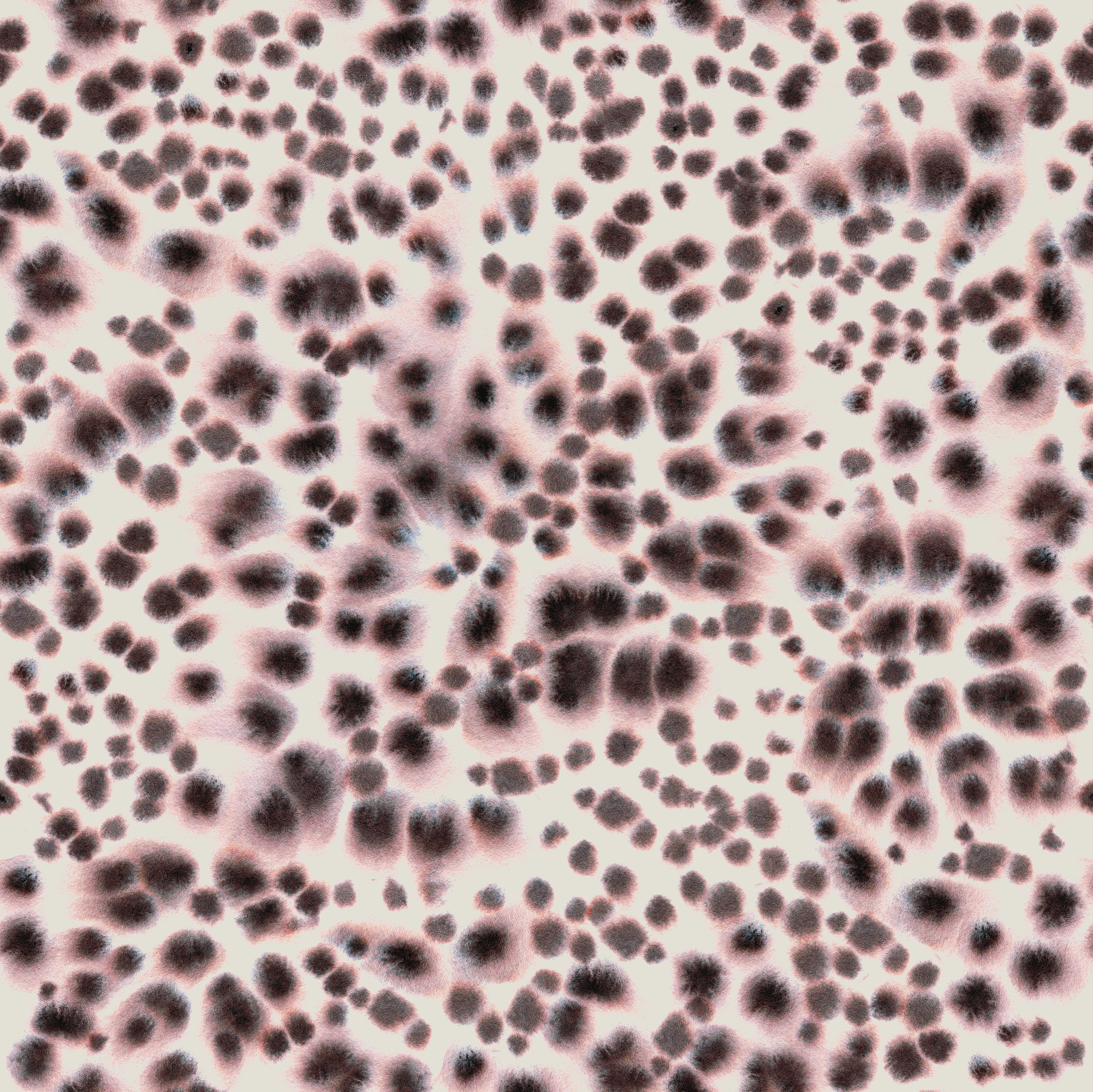 Bio Stoff - Abstract Leo Moonbeam X L von Kristin Tessen in rosa